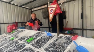 Fiyatlar düşüşe geçti, balığa ilgi arttı
