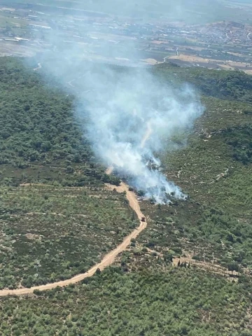 Foça’daki orman yangınına havadan ve karadan müdahale
