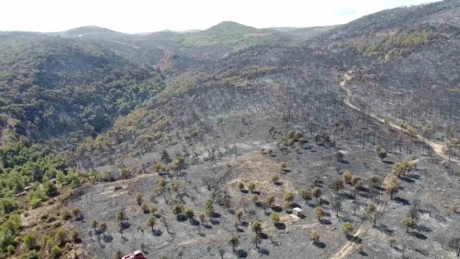 Foça yangınında hasarın boyutu havadan görüntülendi
