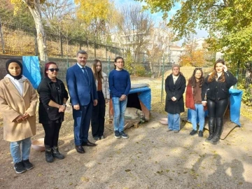 Gazi Üniversitesi Rektörü Yıldız, Gazi’nin Patileri’ni besledi
