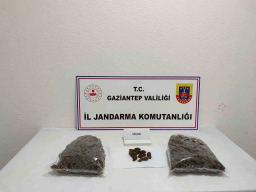 Gaziantep’te 5 kilo skunk ele geçirildi: 1 şahıs tutuklandı
