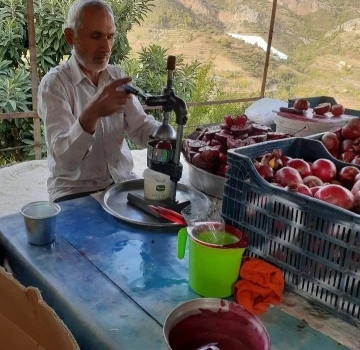 Gazipaşa’da çekirdeksiz ve dikensiz narın hasadında sona gelindi
