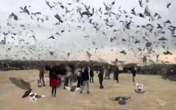 Gazze’deki çocukların özgürlüğü için binlerce güvercin gökyüzüne bırakıldı
