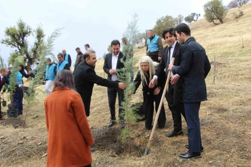 Geleceğe nefes için fidan dikildi
