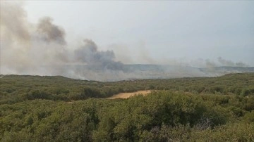 Gelibolu Yarımadası'nda makilik alanda yangın çıktı