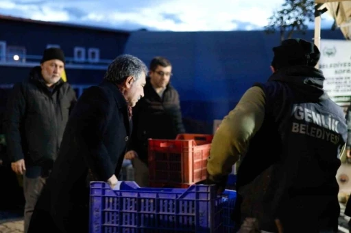 Gemlik Belediyesi’den, zeytin üreticisine destek