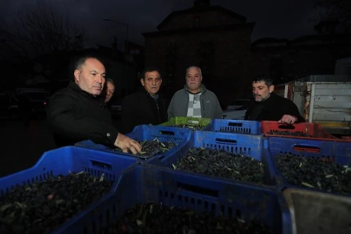 Gemlik Belediyesi'nden zeytin üreticilerine destek