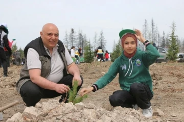 Gerede’de yanan ormanlık alan küllerinden yeniden doğuyor
