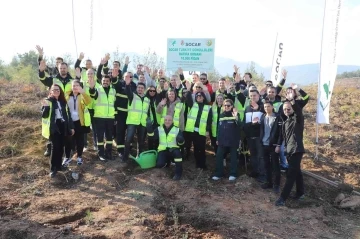 Geri dönüştürülen kağıtlardan 10 bin fidanlık orman oluşturuldu
