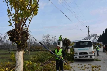 Germencik’te budanan ağaç dalları ihtiyaç sahiplerine veriliyor
