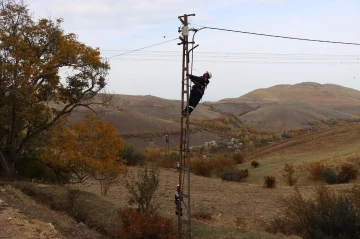 Gevaş’ta 2 milyon TL bedelle havai elektrik hattında izole kablo montajı yapıldı
