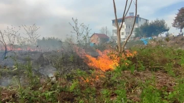 Giresun’da örtü yangını korkuttu
