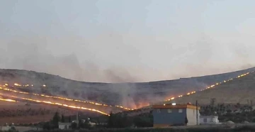 Göbeklitepe yakınlarında korkutan yangın
