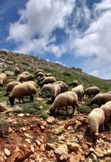 Göçerlere soğuk engeli
