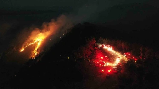 Gökova’nın ‘Deli Mehmet’i alevlerin sönmesine izin vermiyor
