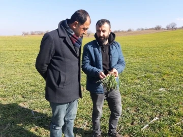 Gölbaşı’nda çiftçilerin kuraklık endişesi
