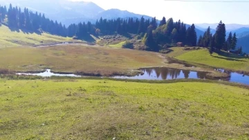 Gölyanı Obası’nın kurumaması için su bağlandı
