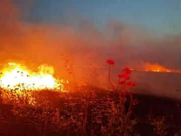 Gönen’de anız yangını, 60 dönüm yer kül oldu
