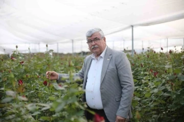 Gül kazandırdı, üretici çoğaldı
