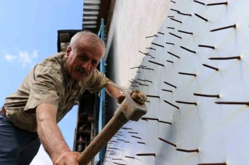 Gümüşhane’de ayı tehdidine Karadeniz usulü çözüm
