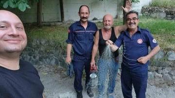 Gümüşhane’de tırıvırıyla kedi kurtarma operasyonu
