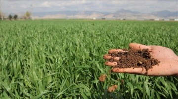 Güneydoğu'da yağışlar tarımda yüksek rekolte umudunu artırdı