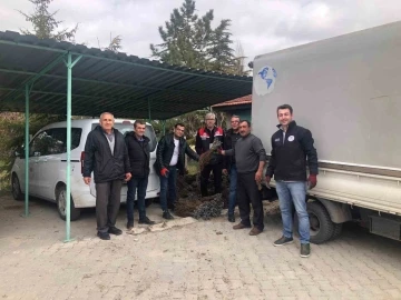 Günyüzü’nde üzüm projesi hayata geçti
