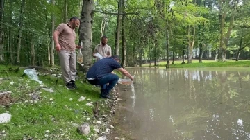 Güzlek Mesire Alanı Göleti’ne 500 koi balığı bırakıldı
