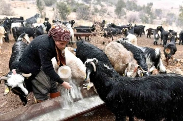 ’Hadi Gel Köyümüze Destek Verelim’ projesi ile üretici oldu
