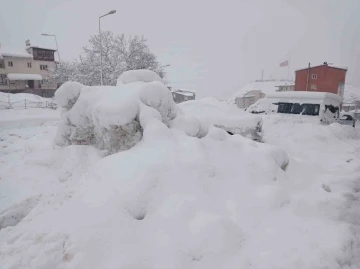 Hakkari’de 100 köy ve 194 mezra yolu kapandı
