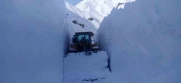 Hakkari’de 7 metreyi bulan karda yol açma çalışması
