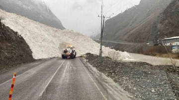 Hakkari-Şırnak yoluna çığ indi
