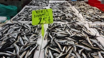 Hamsi avı bollaştı, fiyatı yarı yarıya düştü
