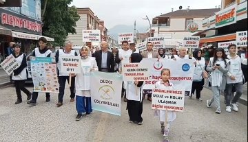 Hastalıklara dikkat çekmek için yürüyüş düzenlendi
