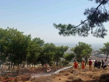 Hatay’da ormanlık alanda örtü yangını
