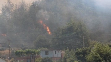 Hatay'da çıkan orman yangını kontrol altına alındı