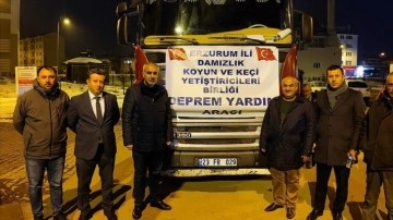 Hatay'da depremde hayvanları telef olan besicilere Erzurum'dan 427 küçükbaş gönderildi