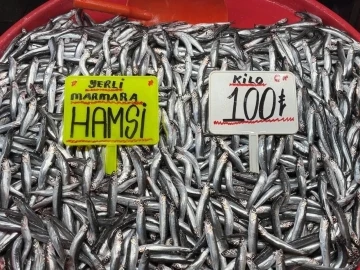 Hava soğudu, hamsi bollaştı