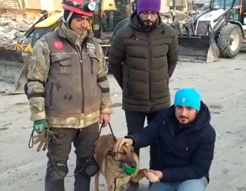 Hayat kurtarırken yaralanan hassas burun ’Sıla’ tekrar görev başında