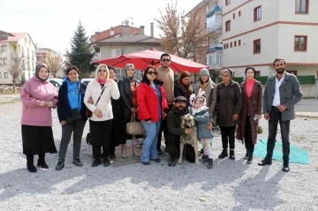 Hayvanseverlerden tepki: “Bir canlının yuvasını yakmak, yıkmak vicdansızlıktır”
