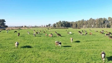 Hem üreticiye hem halka destek
