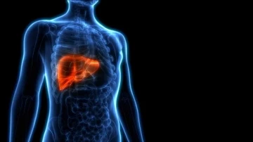 Hepatitin sinsi belirtilerini göz ardı etmeyin
