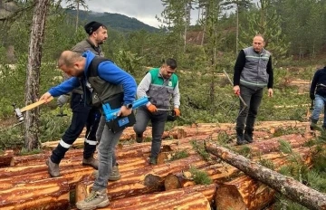 Hisarcık’ta ormandaki ağaçlara barkod uygulaması
