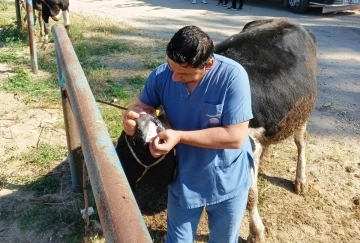 Hisarcık’ta zabıta ekiplerinden kurban satış yerlerinde denetim
