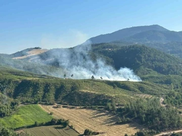 Honaz’daki orman yangını kontrol altına alındı
