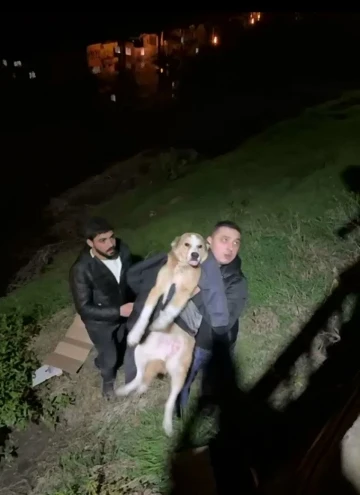 İftara giderken sokak köpeğinin hayatını kurtardı
