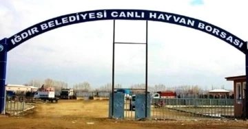 Iğdır Canlı Hayvan Borsası yarın açılıyor
