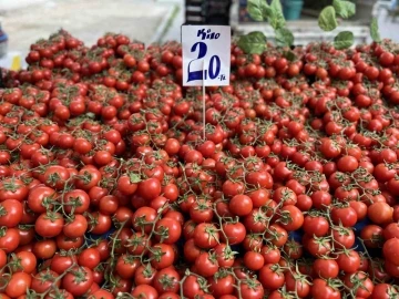 İhracat kısıtlaması getirilen domatesin fiyatı yüzde 40 düştü
