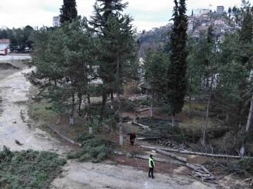 İl Özel İdaresi’nden &quot;Kesilen ağaçların yerine yenileri dikilecek&quot; açıklaması
