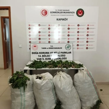 İran uyruklu 1 kişiye biyoçeşitliliği tahripten toplam 387 bin 141 lira ceza verildi
